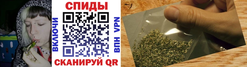 сколько стоит  Иннополис  БУТИРАТ буратино 