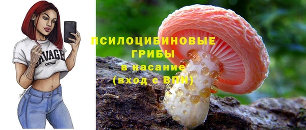 apvp Волоколамск