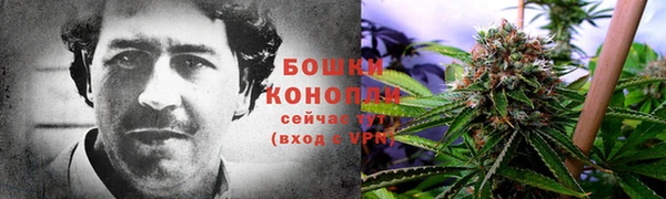 МДПВ Вязьма