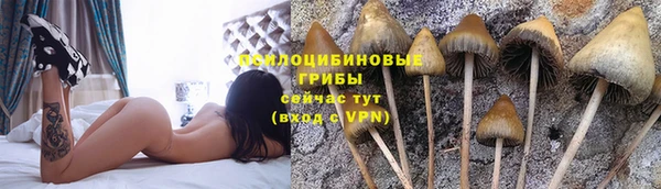 apvp Волоколамск