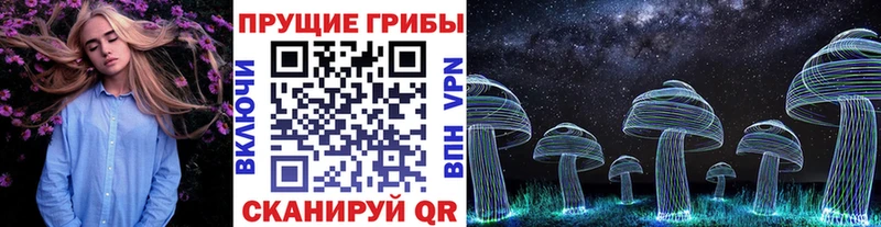 Псилоцибиновые грибы GOLDEN TEACHER  маркетплейс телеграм  Иннополис 